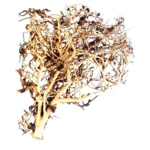 Whimar – Decor Tiny Ramous Wood